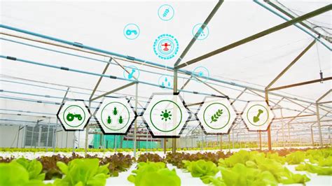 Vertical Farming Technology | What Equipment & Systems for You?