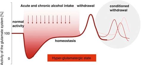 Alcohol Withdrawal Seizures - Causes, Symptoms, And Treatment - Fit ...