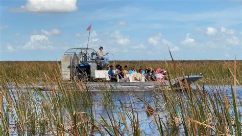 Everglades Admission Ticket with Airboat Ride and Wildlife Show
