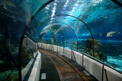 Aquarium Barcelona | BCN Events & Crawls