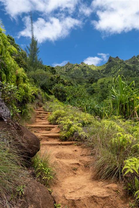 Hiking in Kauai: 7 short trails for first-timers - Curious Wanderess