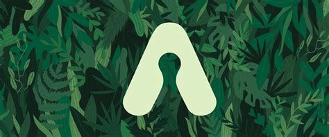 AURORA | album cover on Behance