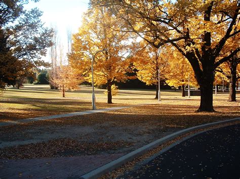 Free Autumn in Australia 2 Stock Photo - FreeImages.com