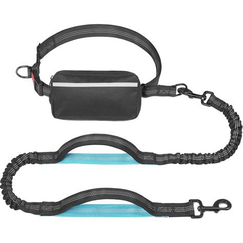 8 Best Hands-Free Leash Options for Dogs - Hey, Djangles.