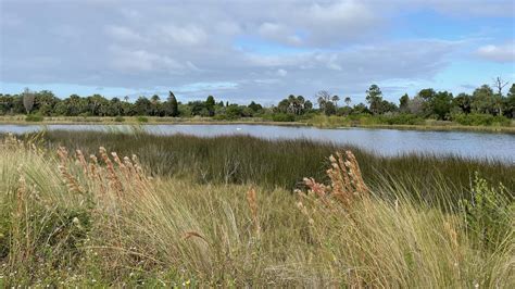 Bahia Beach Nature Preserve – Florida Hikes