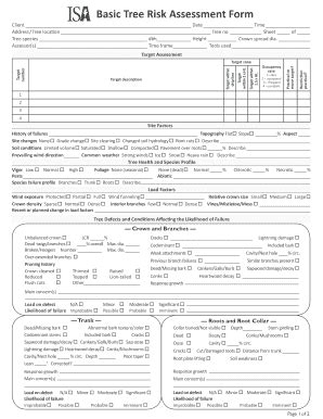 ISA Basic Tree Risk Assessment Form - Fill and Sign Printable Template Online