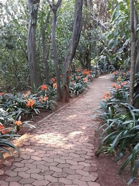 Pretoria National Botanical Garden - 2019 All You Need to Know Before You Go (with Photos ...