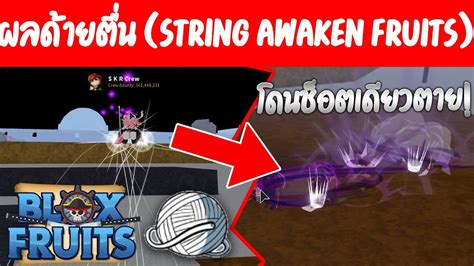 Roblox - Blox Fruits รีวิว ผลด้ายตื่น (String Awaken Fruits) - YouTube