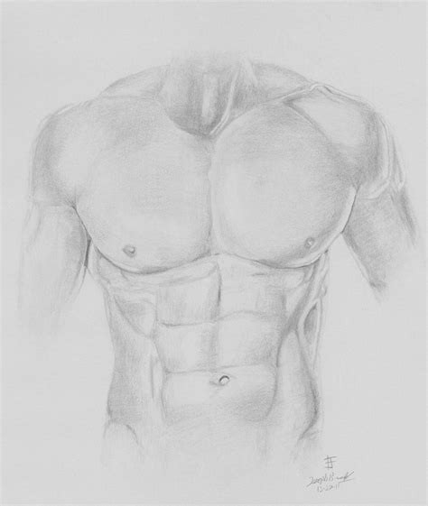 Top more than 79 man chest sketch best - seven.edu.vn