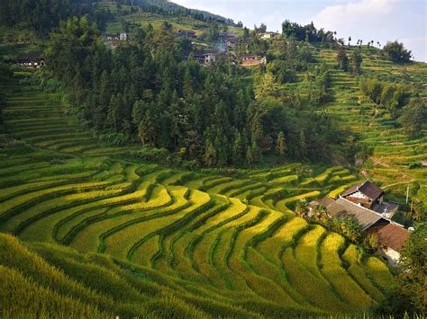 湖南.紫鹊界梯田————世界自然灌溉文化遗产-新化旅游攻略-游记-去哪儿攻略