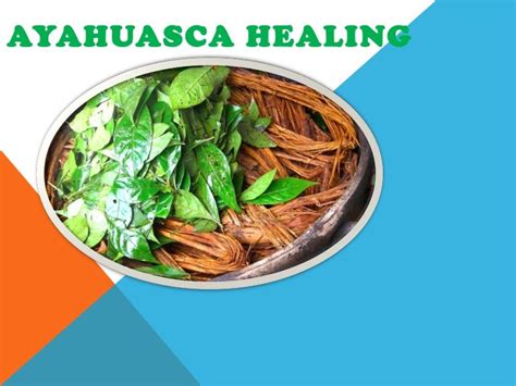 Ayahuasca Healing