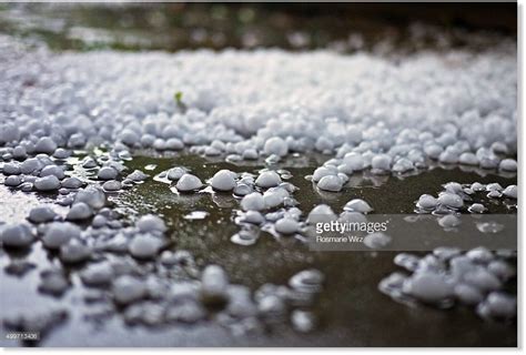 Hailstorm damages crop and property in Bhutan — Earth Changes — Sott.net