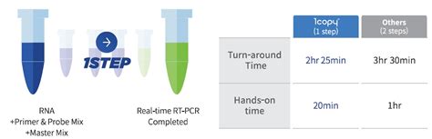 BCR-ABL Molecular Diagnostic Testing | Medicon Hellas