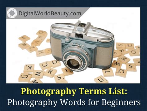 Photography Terms List: 25 Photography Words (For Beginners)