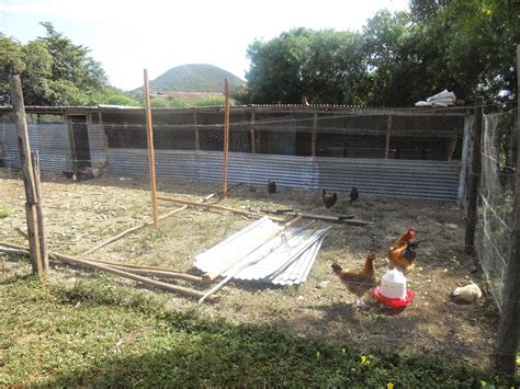 Simple illustration of kienyeji chicken house construction. http://kienyejichicken.blogspot.com ...