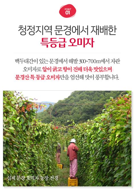 [Nature Holic] Mungyeong Omija Cheong Extract (1L) – Gochujar