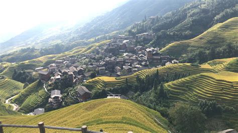 Longsheng Rice Terrace in China | Omeida Chinese Academy