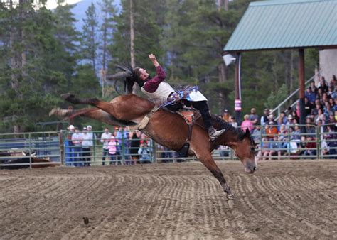 Celebrate the series winners of the 2023 High Country Stampede Rodeo | SkyHiNews.com