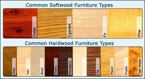 Types Of Softwood For Furniture - Belinda Berube's Coloring Pages