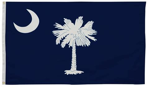 South Carolina State Flag 4' x 6' | South Carolina Flag | State of ...