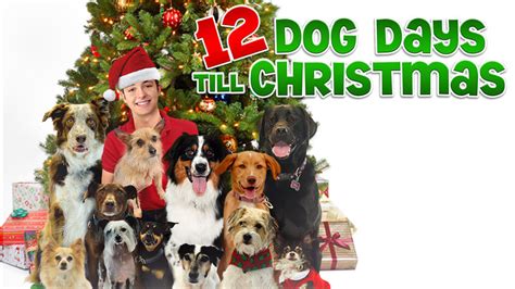 12 Dog Days till Christmas