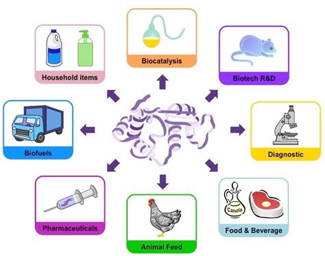 Applications of enzymes in industry - Pharmanewsonline