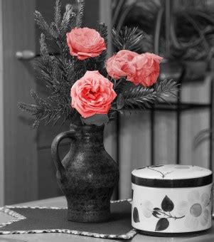 Free Images : black and white, flower, glass, vase, lamp, lighting, still life, cool image ...