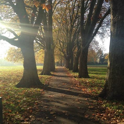 A twenty minute connection with natural surroundings reduces stress - Workplace Insight