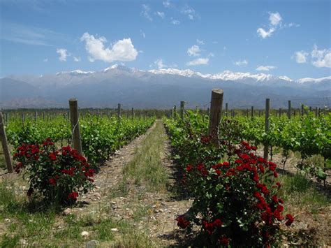 Lujan de Cuyo & Valle de Uco • Travel Blog • MacDermott's Argentina