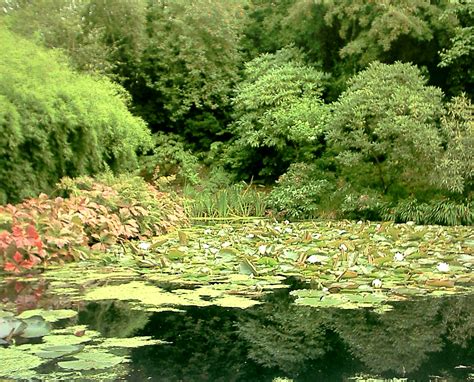 File:Scotland Inverewe Gardens.jpg - Wikipedia, the free encyclopedia