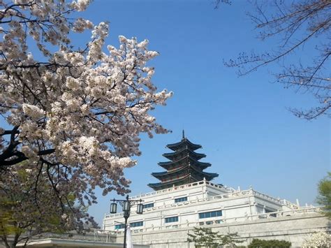 National Folk Museum of Korea & getting there - KoreaToDo