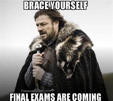 Memes to Help You Get Through Finals Week