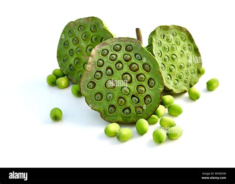 Lily seed pods Cut Out Stock Images & Pictures - Alamy