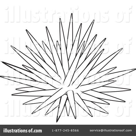 Sea Urchin Coloring Page