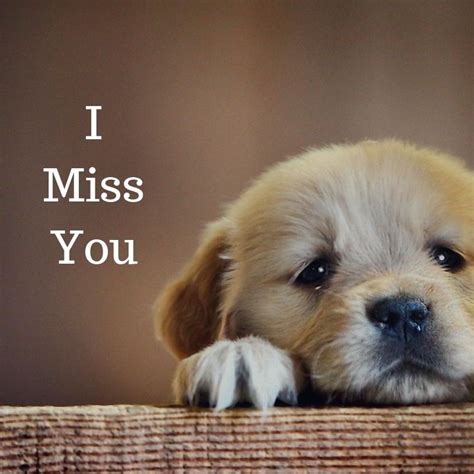 I Miss You - Keep Quotes | I miss you cute, Miss you funny, Cute miss you