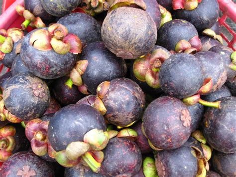 Trunks Up!: Thailand's Exotic Fruits