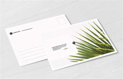 Free Postcard Mockup (PSD)