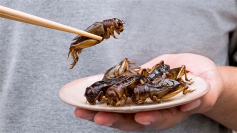 Why Europeans May Soon Begin Eating More Insects