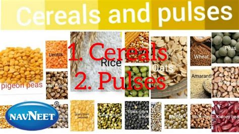 Learn all cereals and pulses name with pictures in English - YouTube in ...