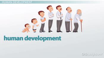 Human Growth And Development Chart