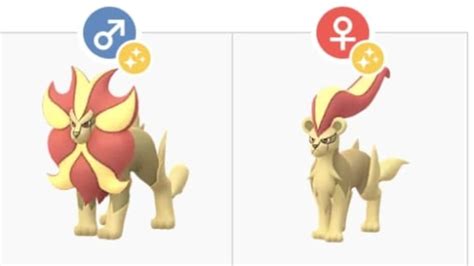 Litleo's Evolution in Pokémon GO