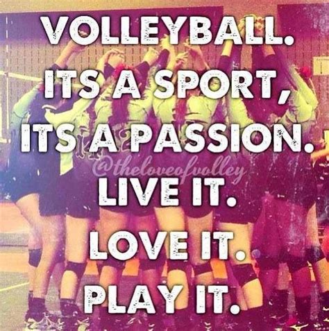 57 best images about Volleyball Quotes on Pinterest | Poems about ...