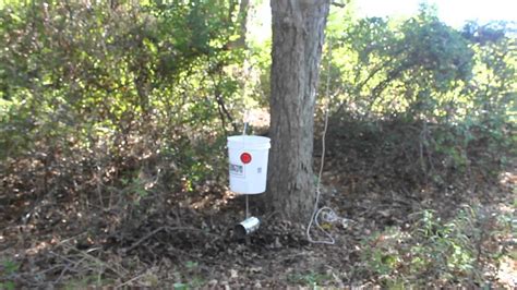 Homemade Deer Feeders 5 Gallon Bucket - Homemade Ftempo