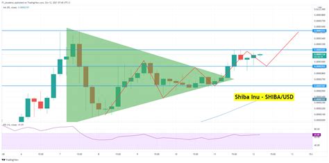 Shiba Inu Price Analysis: Can SHIB/USD Target $0.000035? - Forex News by FX Leaders