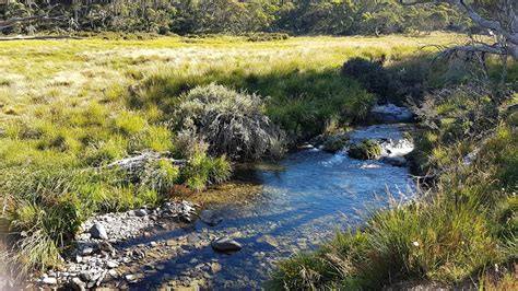 Dibbins Hut & Camping Area - River, Cobungra VIC 3741, Australia