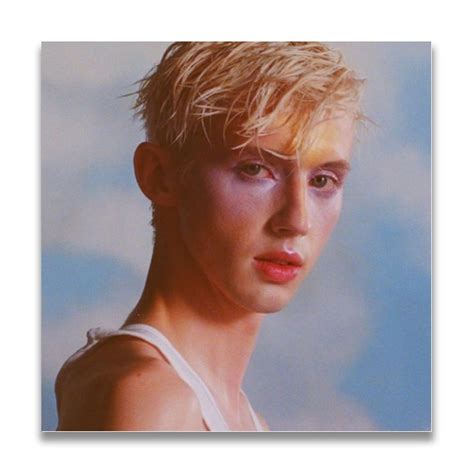 Troye Sivan Music Album cover Canvas Poster Unframe | Etsy