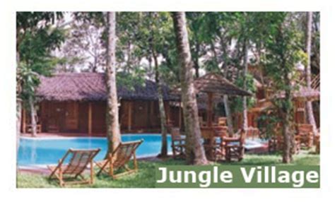 Jungle Village Resort, Jungle Village Resort Thekkady, Jungle Village in Thekkady, Best Hotels ...