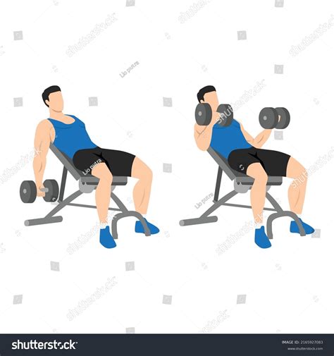 Incline Dumbbell Curl Photos and Images & Pictures | Shutterstock