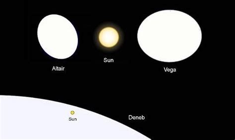 Vega (Star) For Kids | Facts, Summary, Structure, Function & Formation