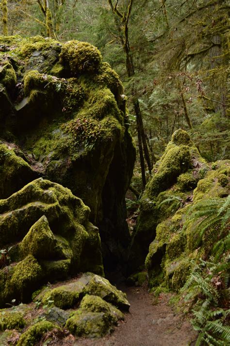 Fall Creek Falls - Hike Oregon